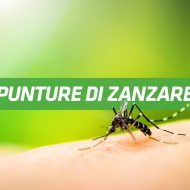 rimedi contro le punture di zanzare