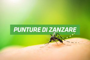 rimedi contro le punture di zanzare