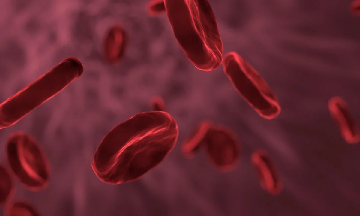 Analisi del sangue rapide a Torino
